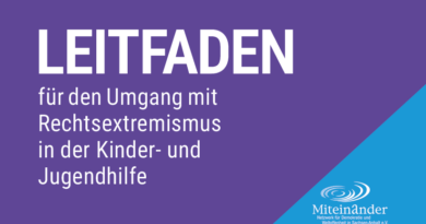 Leitfaden für den Umgang mit Rechtsextremismus in der Kinder- und Jugendhilfe